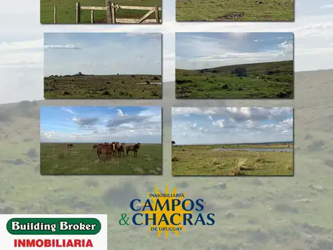 Venta de campo en establecimiento "El Verdún" en el departamento de Artigas, paraje Sepultura.