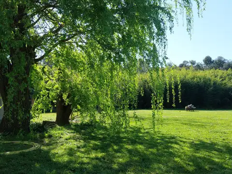 Carlos Keen 3 Has con 2 Casas Arboleda y Frutales