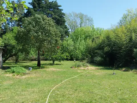 Camino Carlos keen 30000