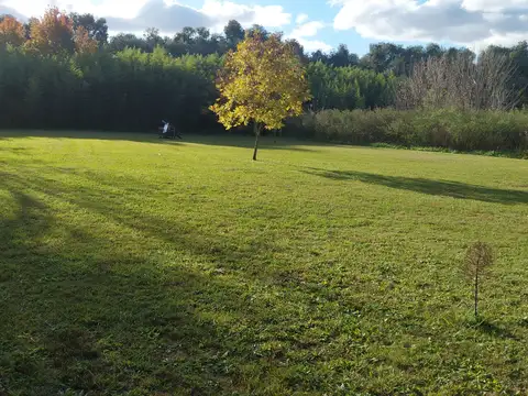 Camino Carlos keen 30000