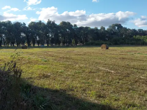 Camino Carlos keen 30000