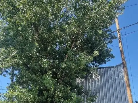 Galpon en Venta en Ituzaingo Norte, USD 159.000