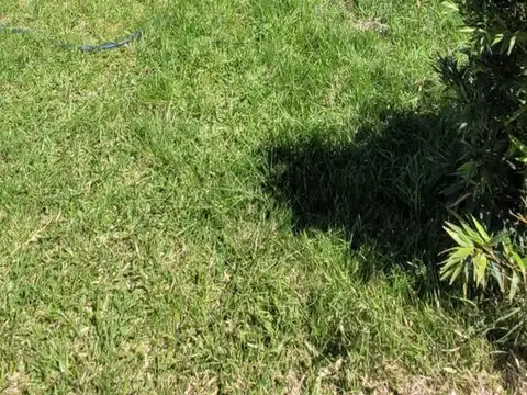 Terreno en Venta en Maciel, USD 35.000