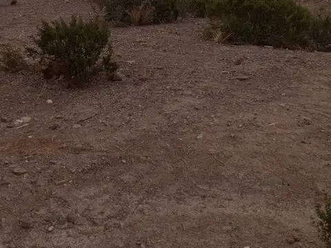 VENTA CAMPO EN POTRERILLOS MENDOZA