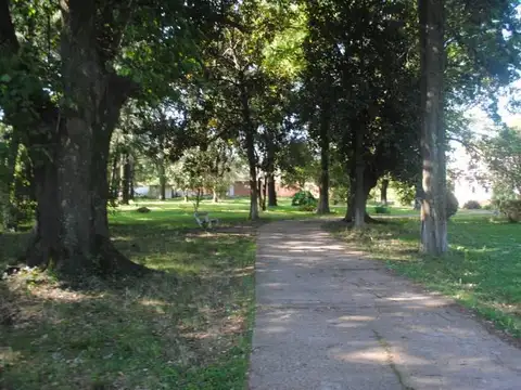 Excelente quinta  en venta en Pontevedra con mas de 23.000 M