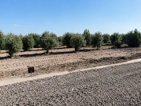 Terreno en Venta en Jocoli Viejo, USD 30.000