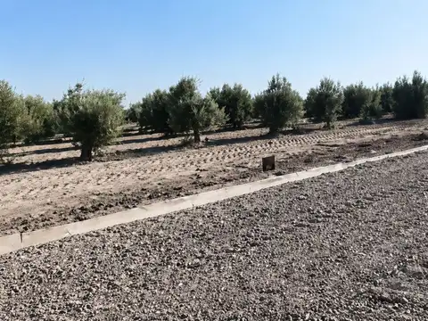 Terreno en Venta de 1800,0 m2