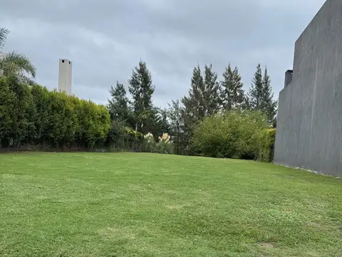 Terreno en Los Olivares