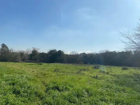 VENTA HECTAREAS RURALES -  MERLO LOCALIDAD EL PALOMO