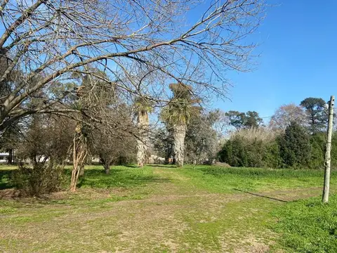 Antonio Cadelago 900