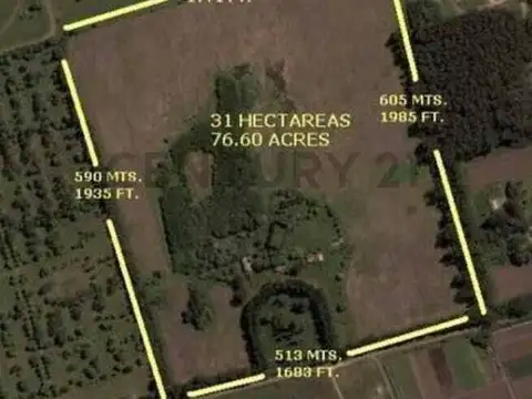 VENTA CAMPO GENERAL RODRIGUEZ