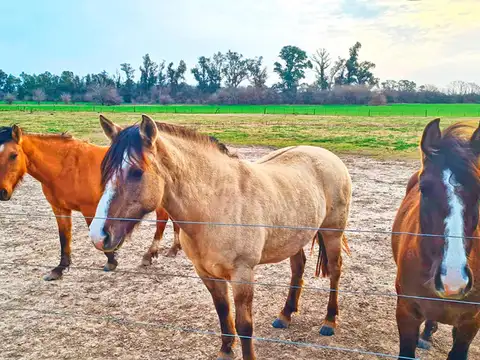 Campo en Venta de 0,01  ha