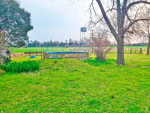 Campo en Venta Agrícola