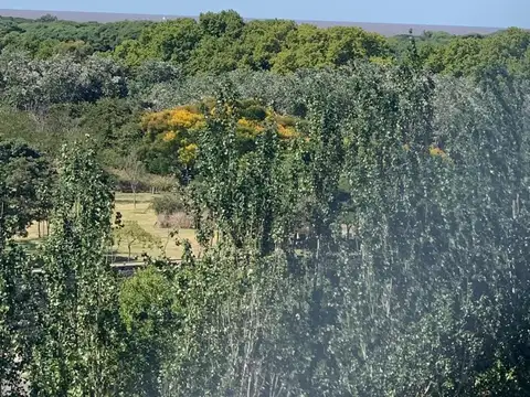 Aimé Painé 1600