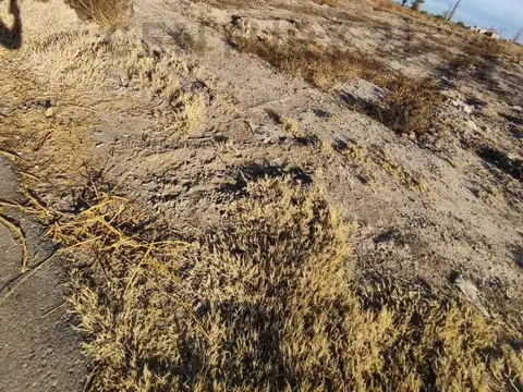Terreno en Venta en Rodeo del Medio, USD 8.000