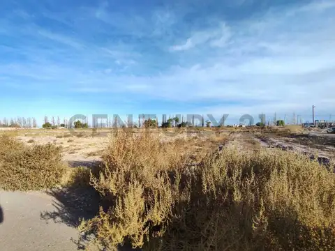 PUEYRREDÓN , Piso 0