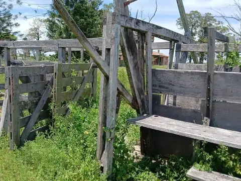 844 Hectáreas En Sauce De Luna