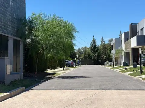 Cotagaita Número 8850 100