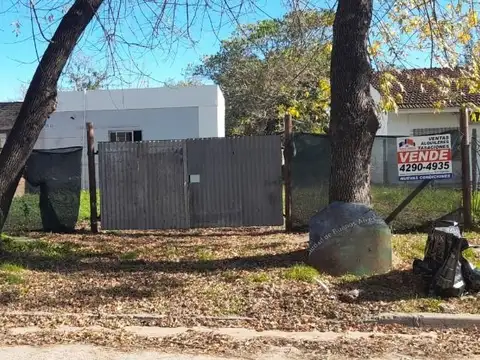 Juan Manuel de Rosas 1500