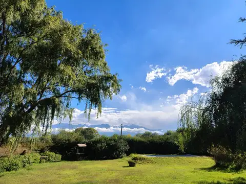 Quintana 100