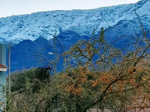 Terreno en Venta de 800,0 m2