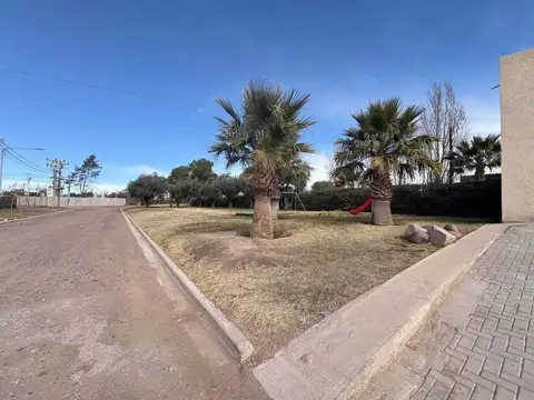 Terreno en Venta de 295,0 m2