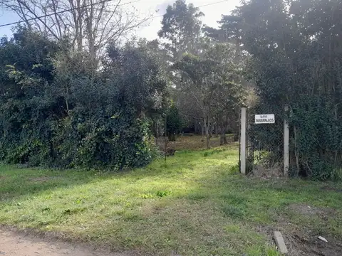 23 e/4 y 6