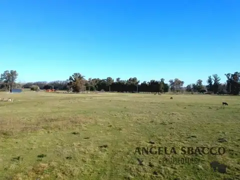 Terreno en Venta de 21000,0 m2