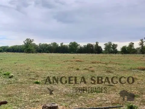 Terreno en Venta de 21000,0 m2