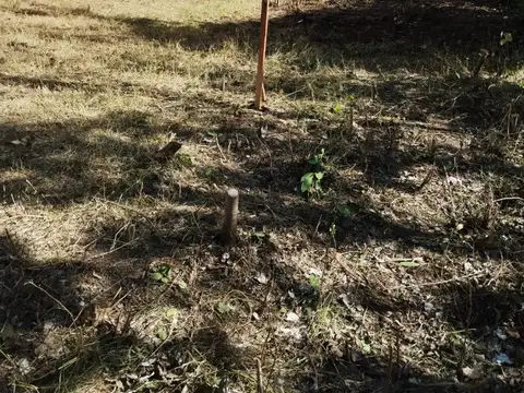 Terreno en Venta de 200,0 m2