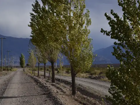 USPALLATA Terreno 3000 m2 - U$D 12600 PRECIO FINAL CON ESCRITURA