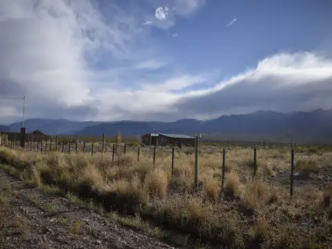 Terreno en Venta de 3000,0 m2