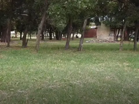 Ruta 36 KM 135