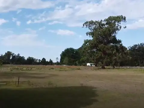 Ruta 36 KM 135