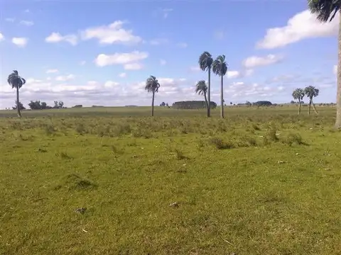 Ruta 16 y 2000 metros de camino