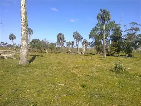 Campo - Venta - Uruguay, Rocha