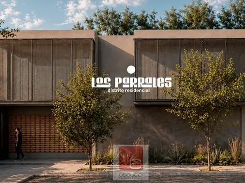 LOS PARRALES GOBERNADOR BENEGAS, GODOY CRUZ