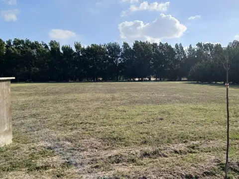 Terreno en Venta 50  mts Fondo
