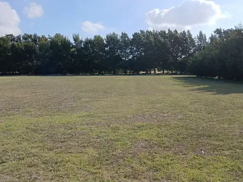 El Espinillo Golf