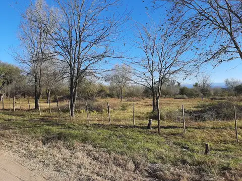 Terreno en Venta 200  mts Fondo