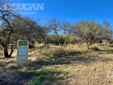 Terreno en Venta de 1637,0 m2
