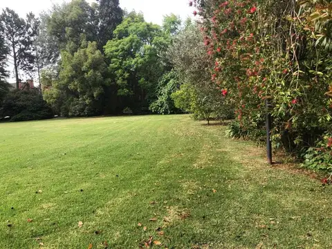 Terreno en Venta 20  mts Frente