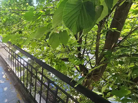 Departamento en Venta en Villa Devoto, USD 115.000