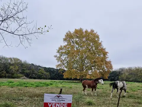 Chacra de 2 has, en inmejorable ubicación. 
