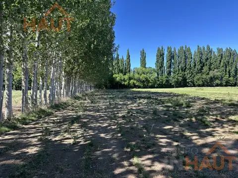 VENTA DE CHACRA EN CIPOLLETTI