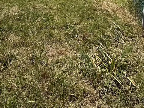 Terreno en Barrio La Loma