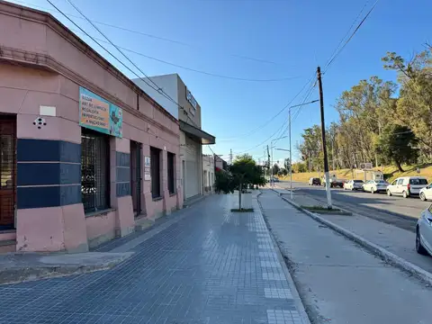 San Lorenzo 100