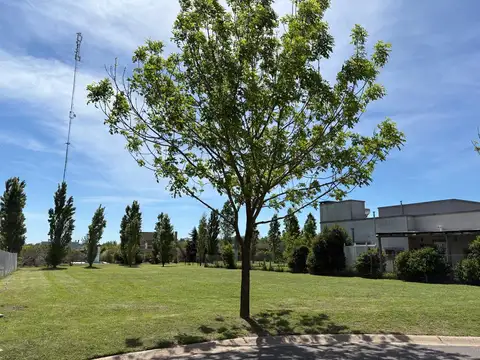 Terreno en Santa Guadalupe