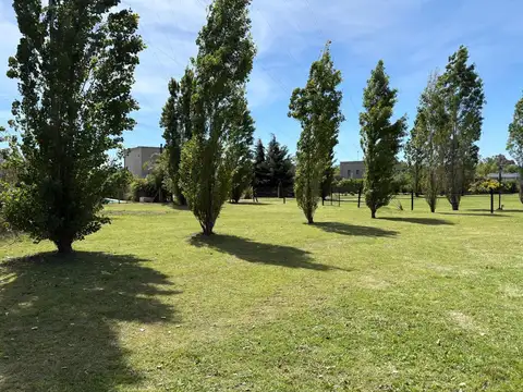 santa guadalupe pilar del este