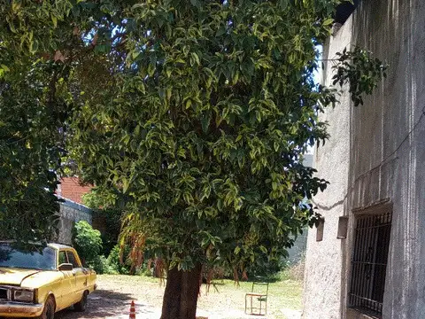 Terreno en Venta, FOS 0,6